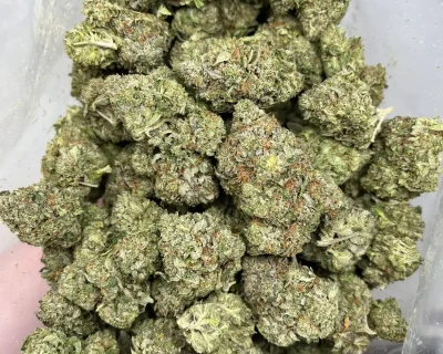 PINK BOMB (MEGA GAS) - Image 5